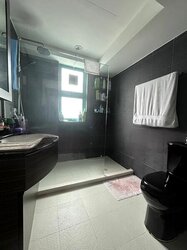 Celadon View (D17), Apartment #456791491